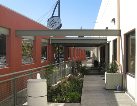 Life CHiropractic College, Hayward, CA
