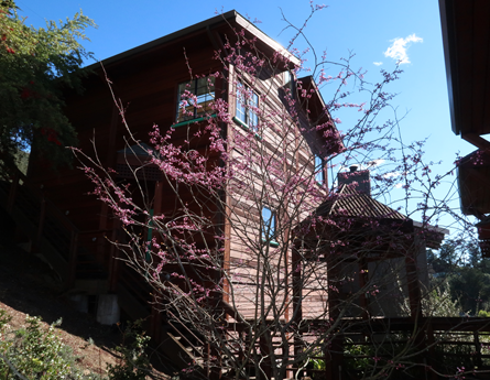 Dixon Residence - Oakland, CA